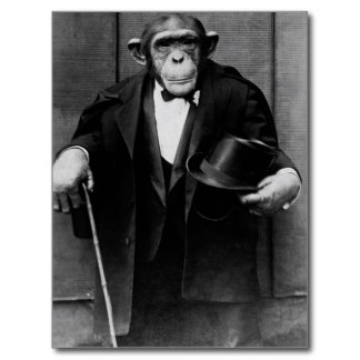 chimpanzee_dressed_in_evening_wear_postcard-rd81d631c6c0e45058fec58f4e6ffe7cc_vgbaq_8byvr_324