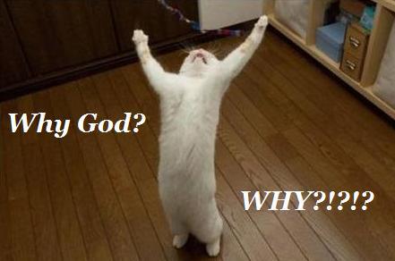 why-god-why